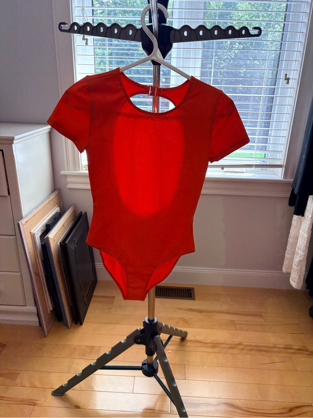 Aritzia -Babaton Short Sleeve One-Piece Bodysuit